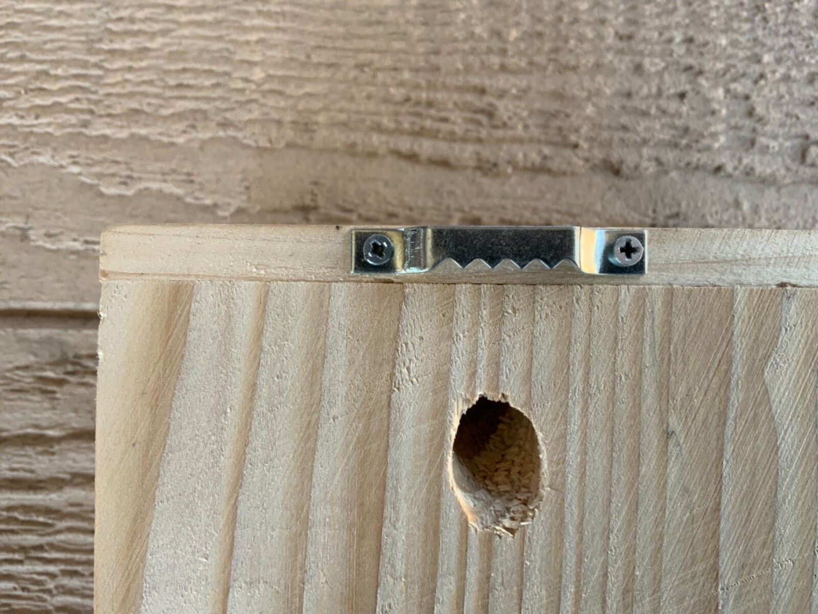 Bees N Things Outdoor Carpenter Bee Hanging Trap with 15 ft. Coverage