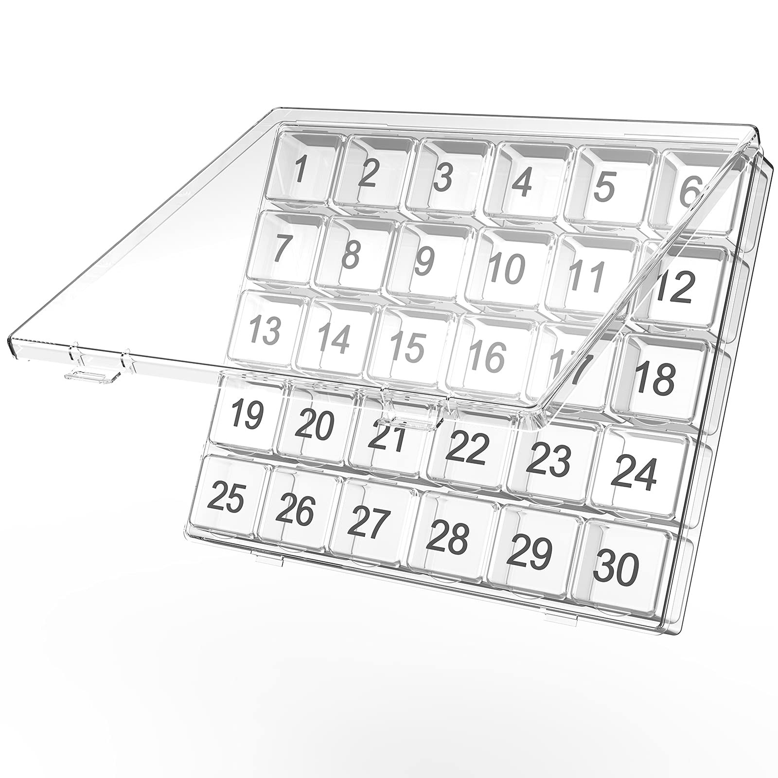 Monthly Organizer - 30 Day - Easy to Open - Large Compartments - Portable Cas...