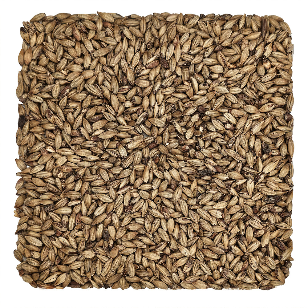 Home Brew Ohio Biscuit Grain 5lb