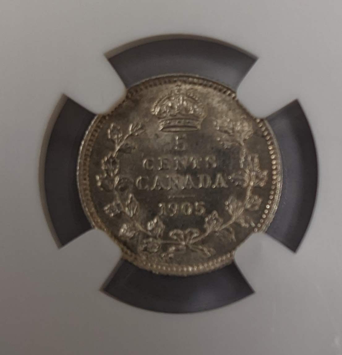 1905 Canada 5c NGC MS 61