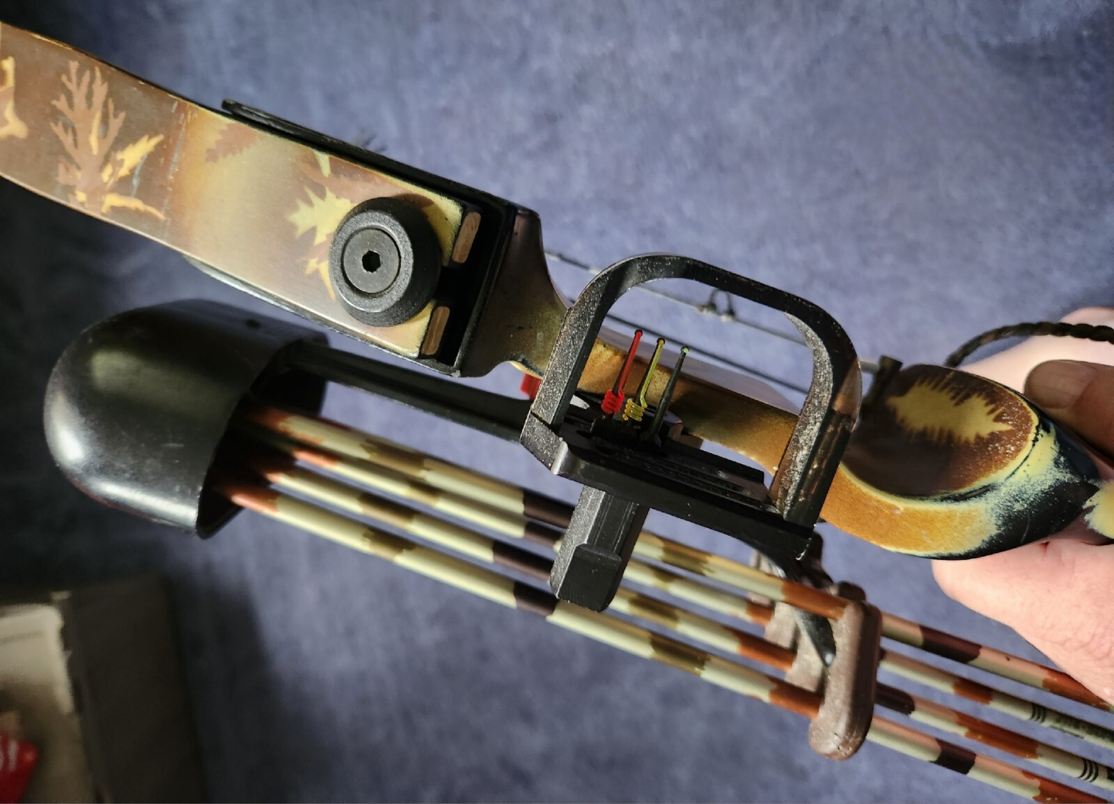 darton compound bow