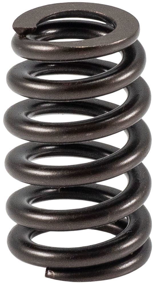 Engine Valve Spring Melling 466624