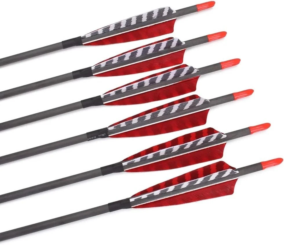 Pure Carbon Arrows 600 700 Spine Turkey Feather Fletching Screw-in Field Poin...