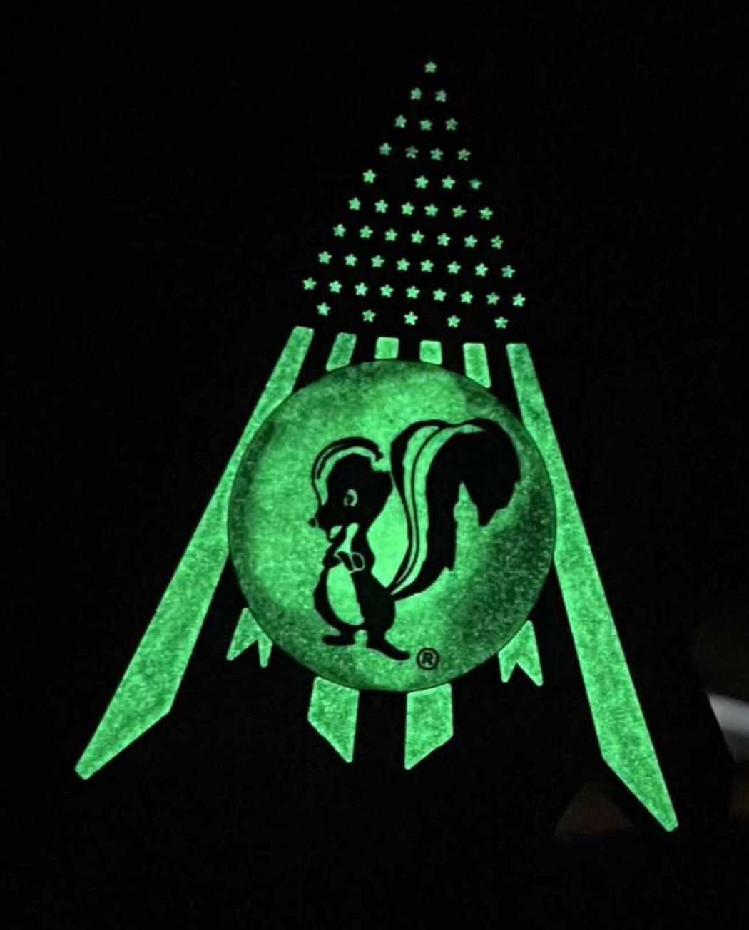 Skunk Works® F-117 Nighthawk Patch, 5 inch, PVC, Hook and Loop Backing
