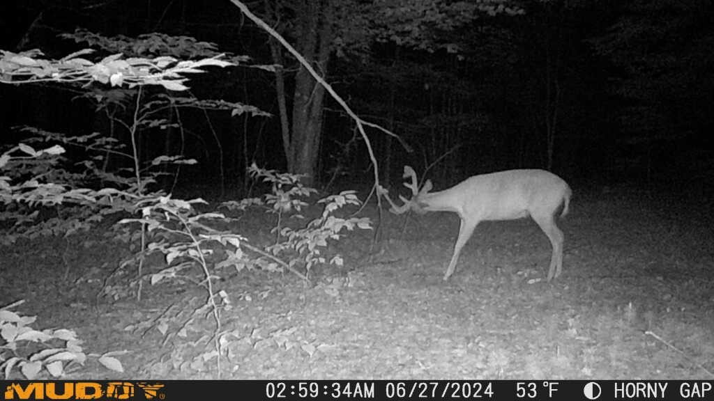 deer attractant Rope Kit! Free Shipping!