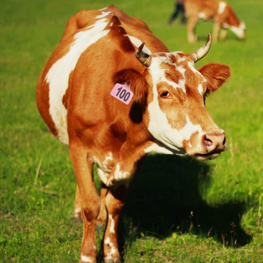 Plastic Cattle Ear Tags 001-100 for Livestock Cows Tag Applicator Kit