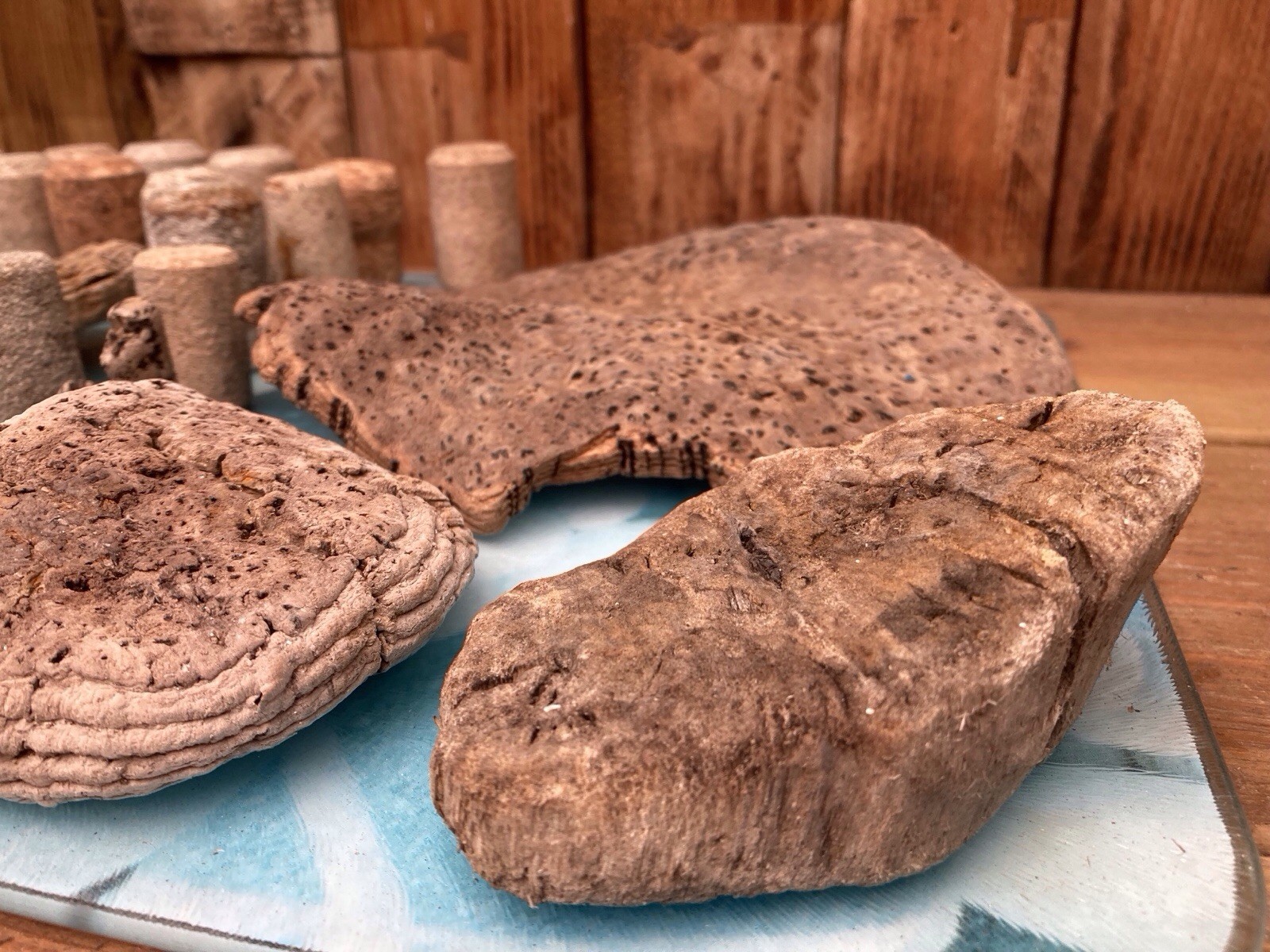 Tropical Driftwood and Cork pieces