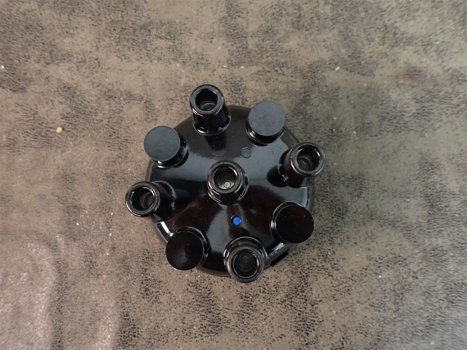 NEW WVE 5D1175 Distributor Cap (G220)