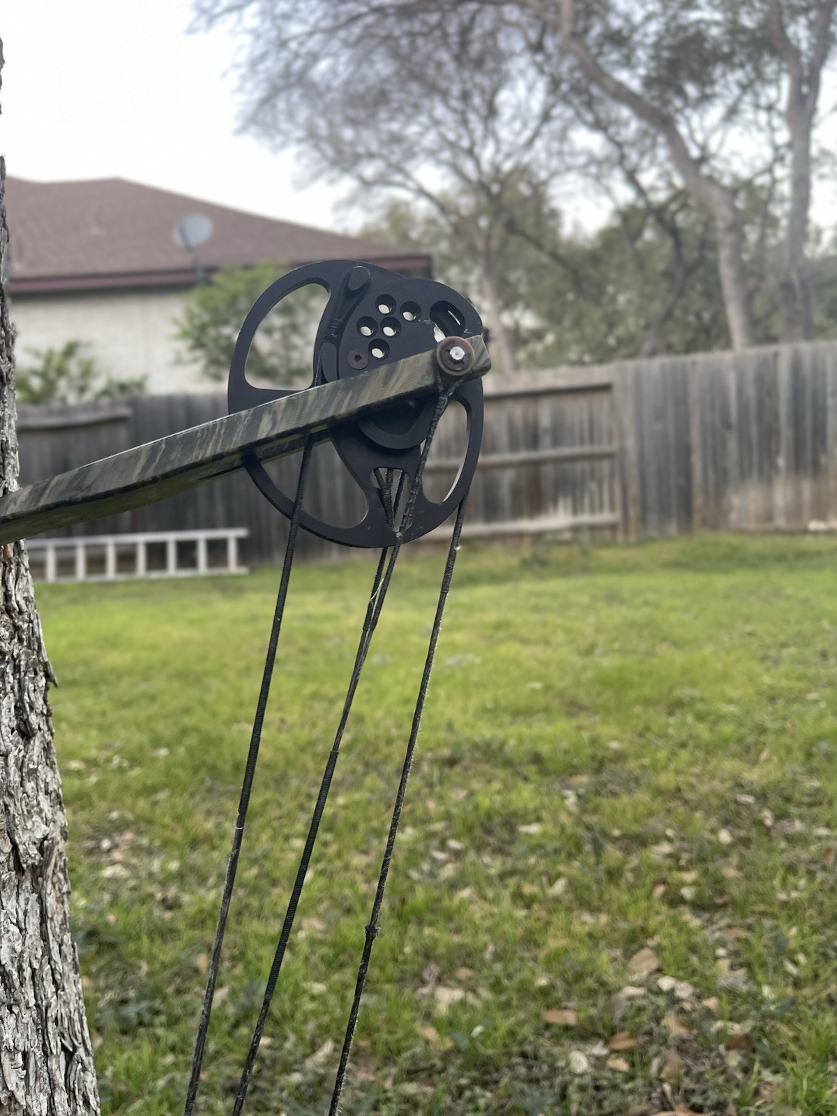 Parker Compound Bows