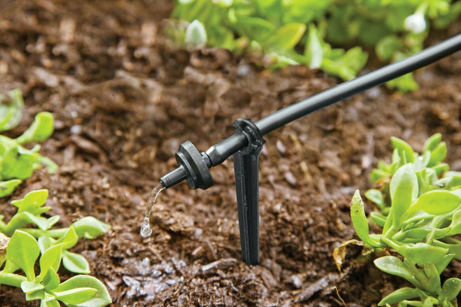 Raindrip R560DP Automatic Watering Kit for Container and Hanging Baskets
