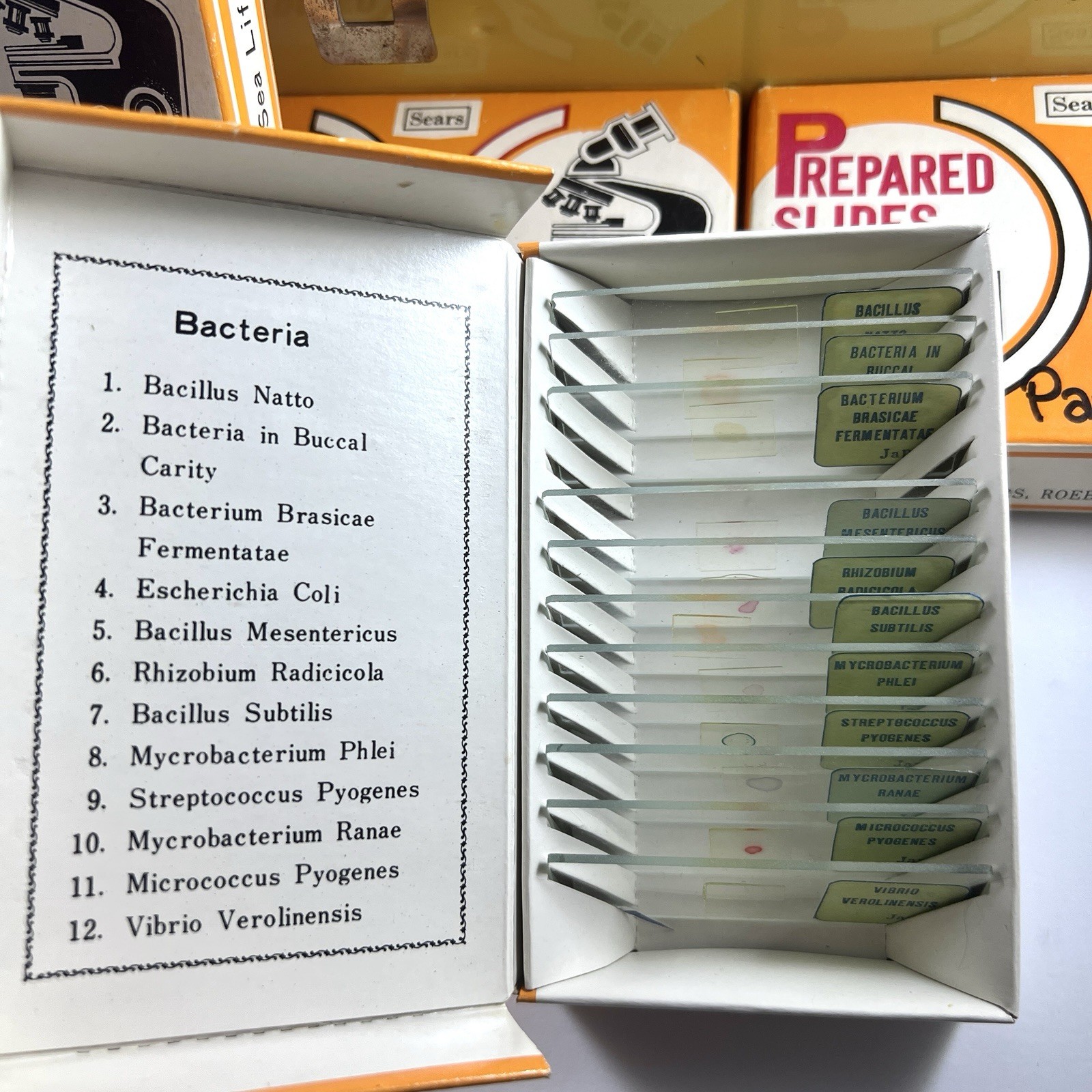1970s Sears Microscope Prepared Slides & Gilbert Microcraft Cabinet Case Lot