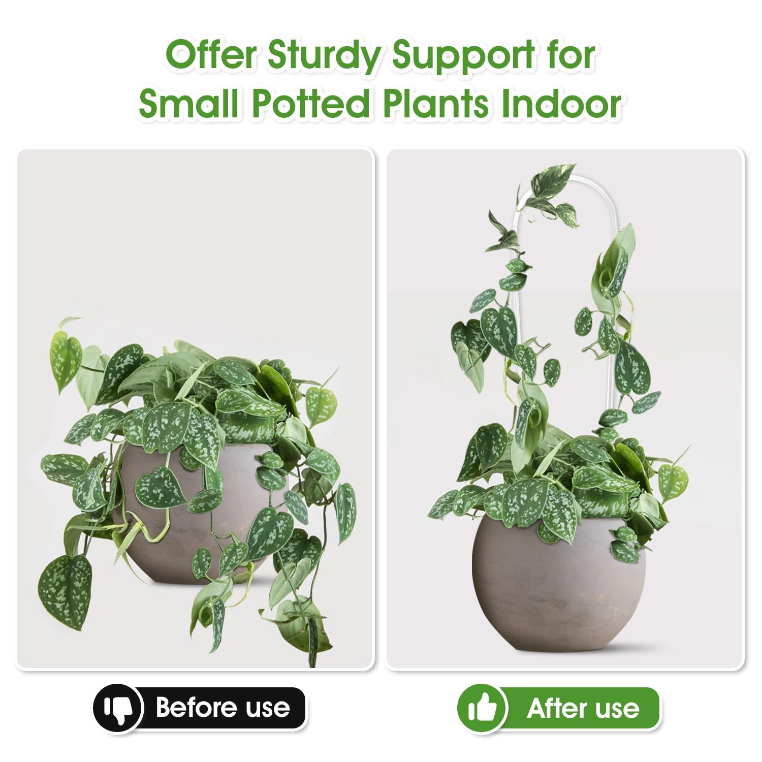 JETTIFY 2 Pack U-Shaped Clear Acrylic Trellis for Indoor Plants, Small Medium