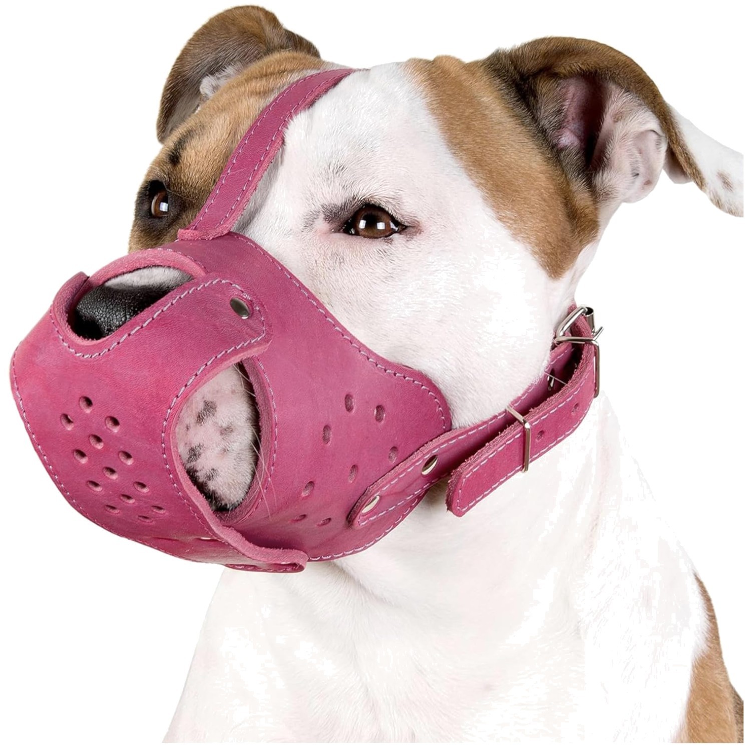 Adjustable Basket Muzzle for Staffordshire Terrier
