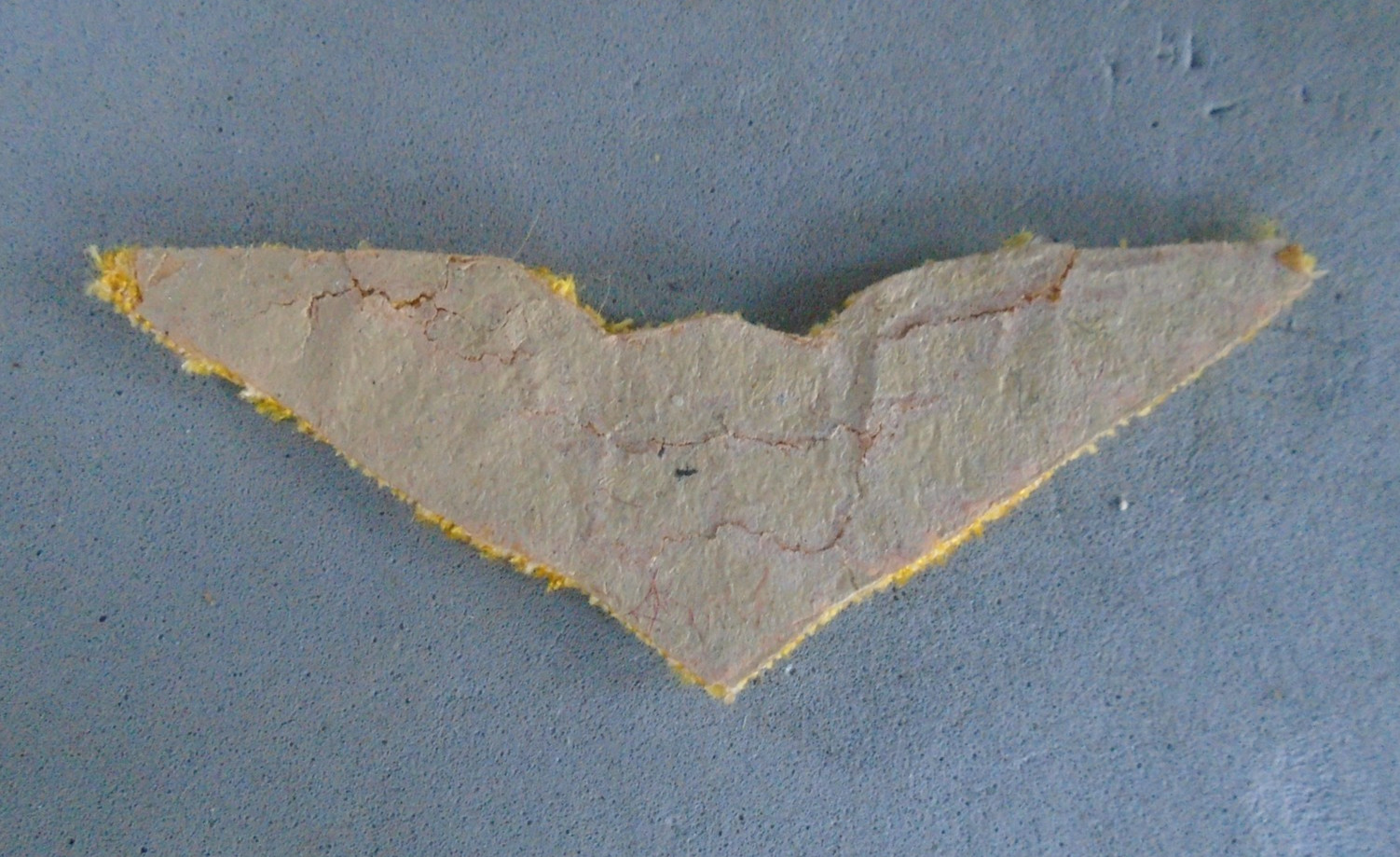 Yellow cloth wings