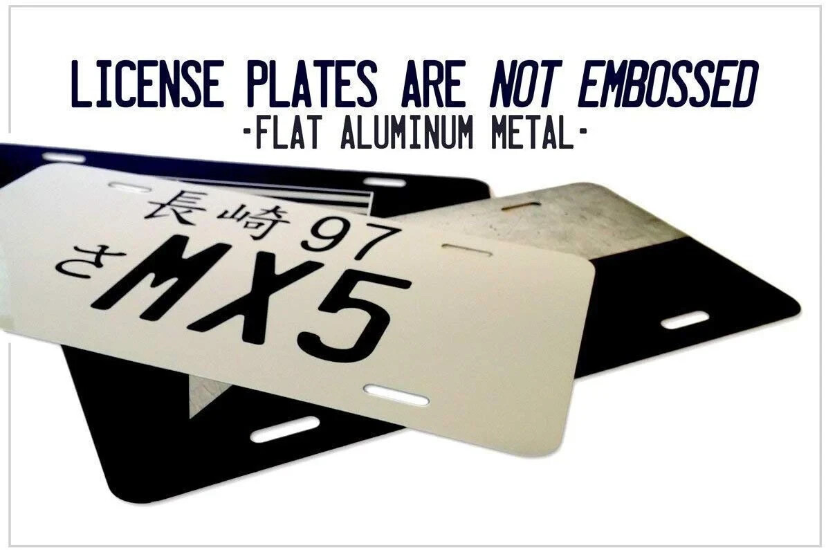 Personalized Delaware Save Shorebirds License Plate 6x12 CustomTag
