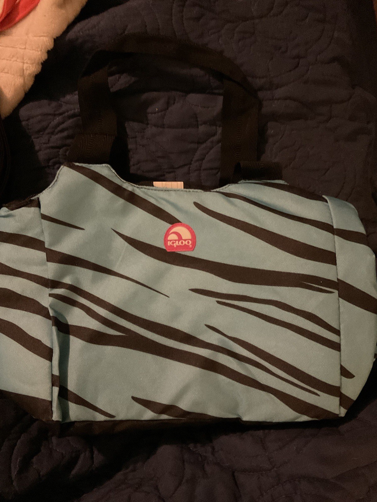 Insulated Cooler Bag Igloo Brand Zebra Stripe Pattern 13x8