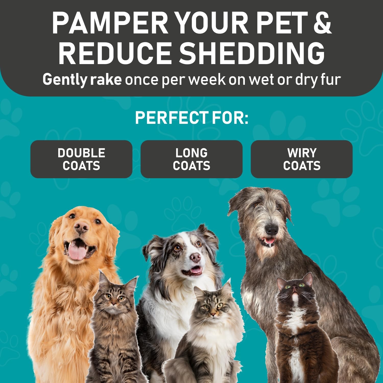 Maxpower Planet Original Pet Grooming Rake - Double-Sided Large, Blue