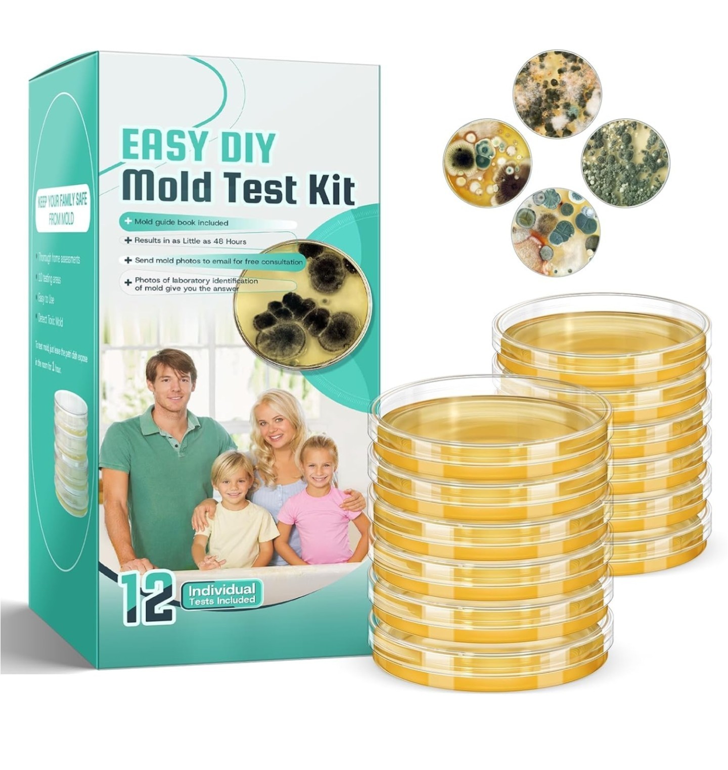 Mold Test Kit for Home Detection: 12 Professional DIY Testing Kits ( 2 pack)