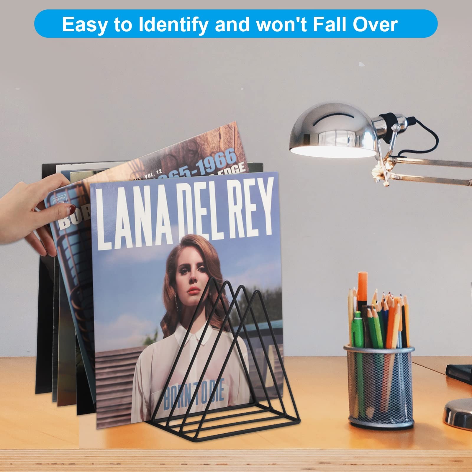 Vinyl Record Holder Storage, 9 Slot Metal Magazine Book Album Display Rack, S...