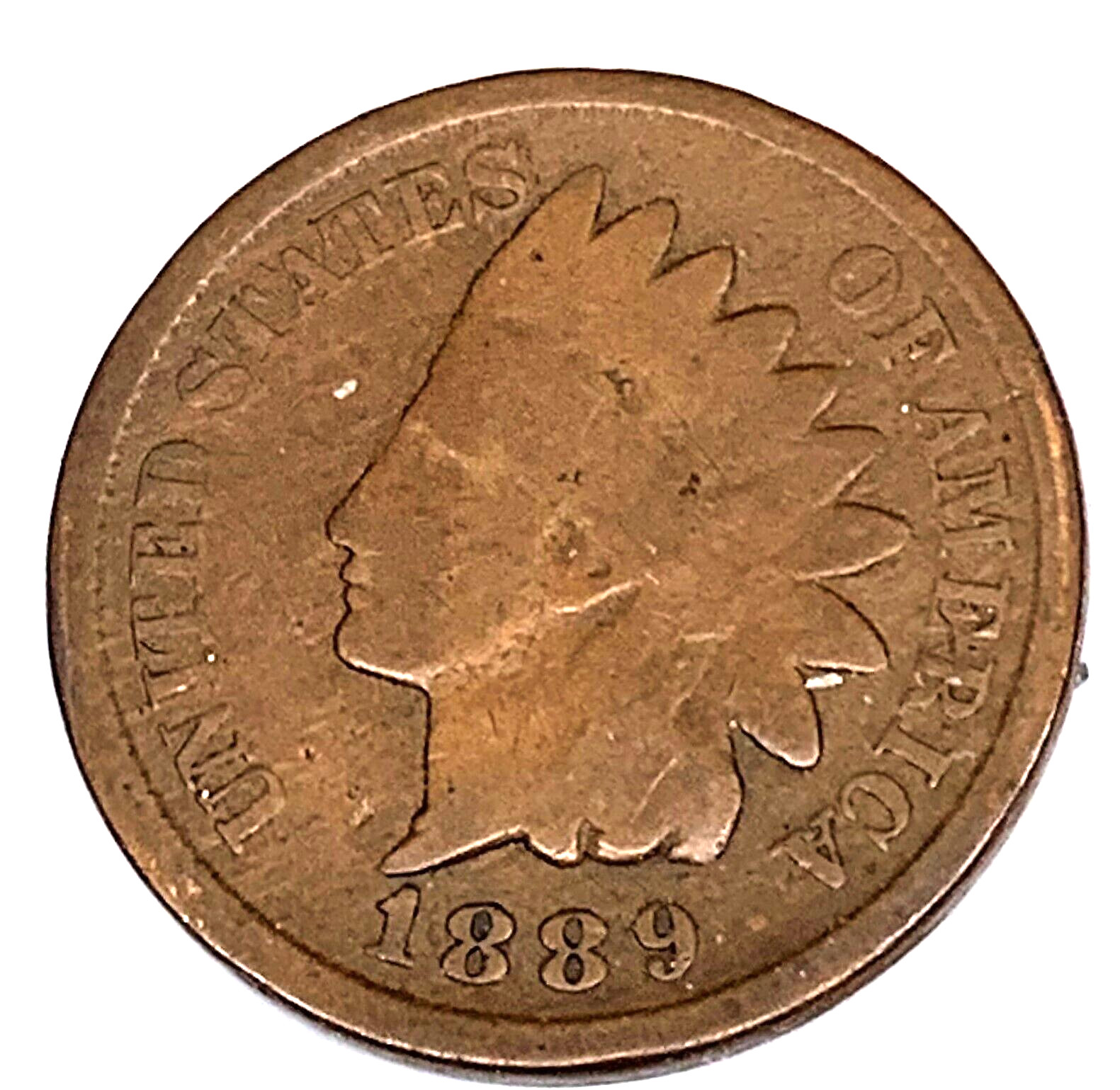 # C5590    U.S.   COIN,    INDIAN  CENT   1889
