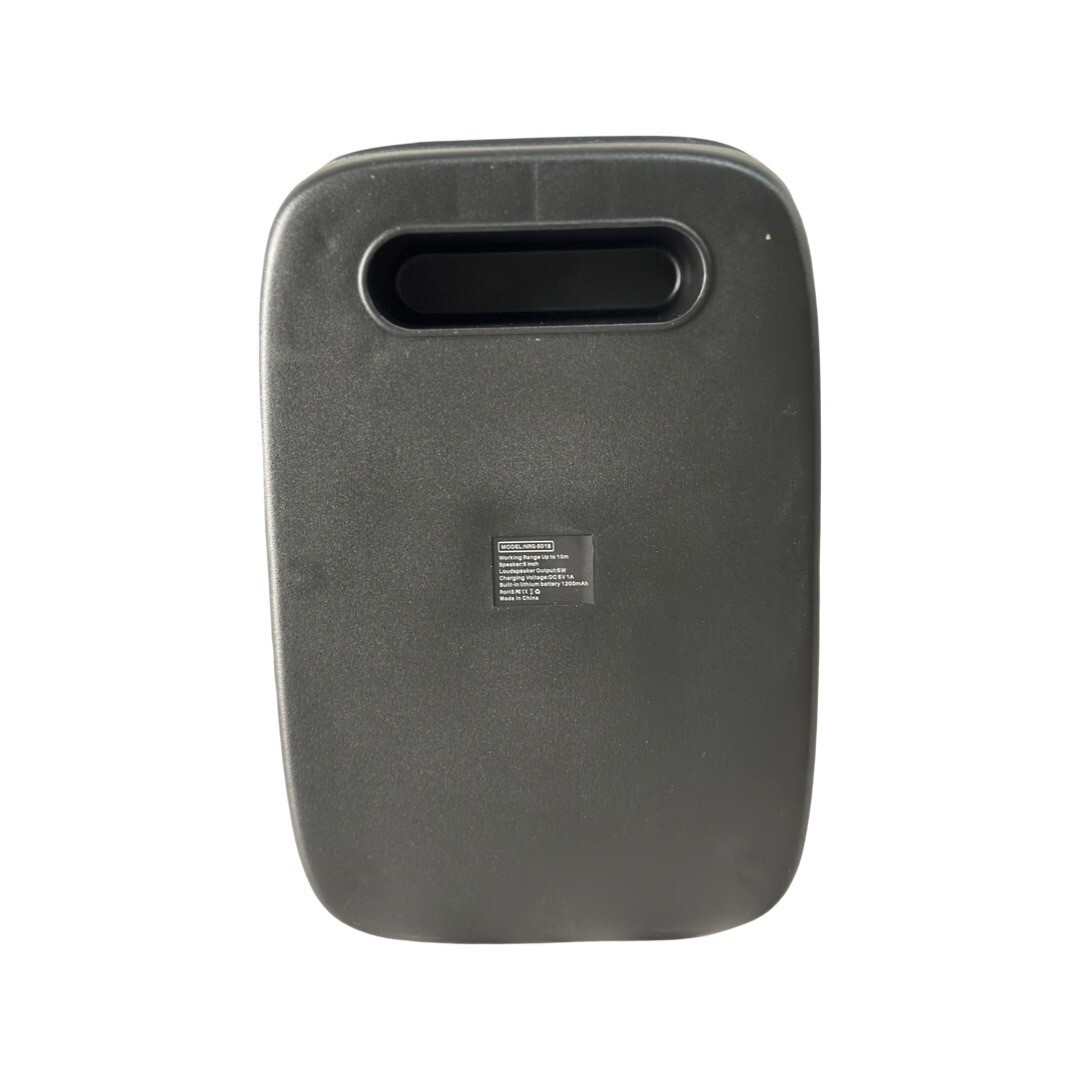 Portable Karaoke Machine Speaker with Microphone,Bluetooth 5.0, Wireless Speaker