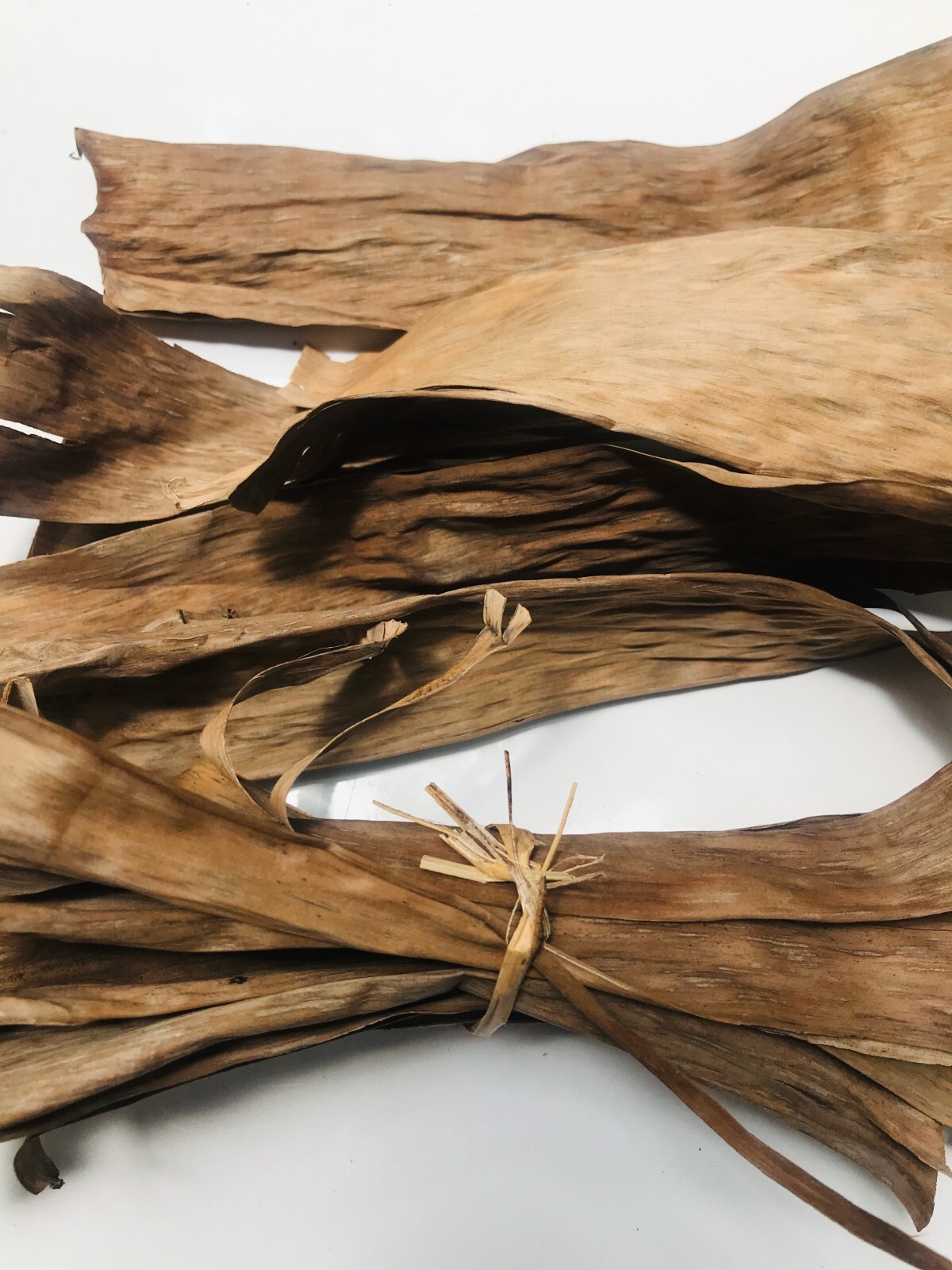 Dried Banana Leaves Pet Supplies Fish Aquarium100% Organic 50 nos Free shipping