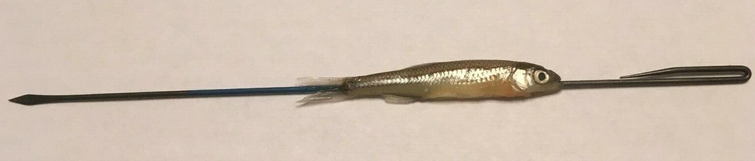 OTS Needles® Baiting Needles Minnow Needles