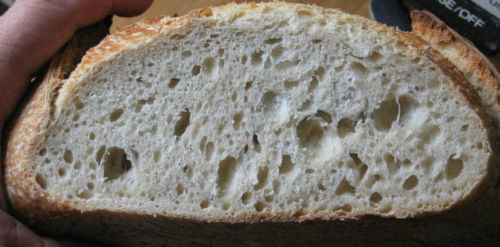 YEAST AUTHENTIC SAN FRANCISCO SOURDOUGH STARTER sally TOP SELLER