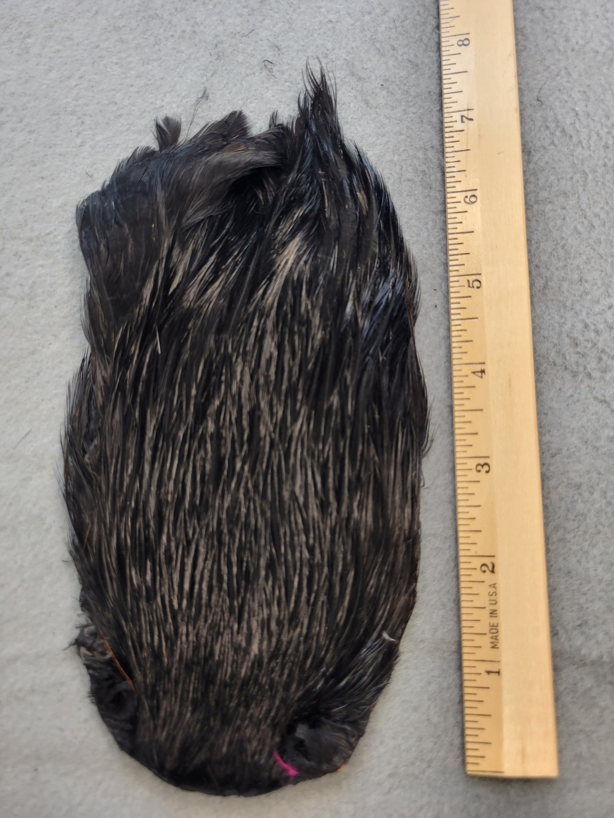 Lot 171,  Grade B,  DYED BLACK India Rooster Streamer Neck Cape Feathers