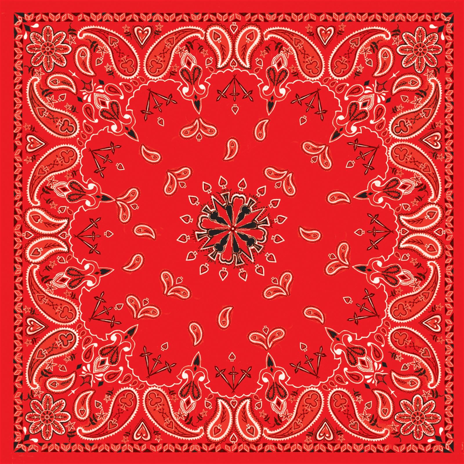 Zan Bandanna Red Paisley B003