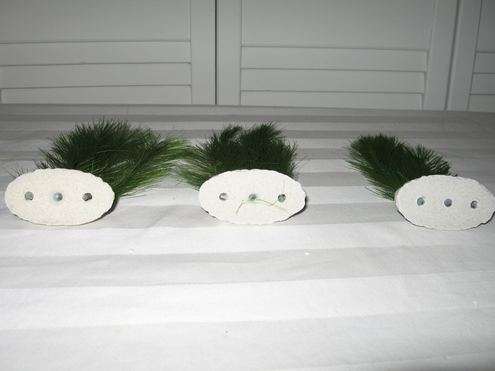 Set of 3 Rice Stalk Aquarium Plant New in Package!!