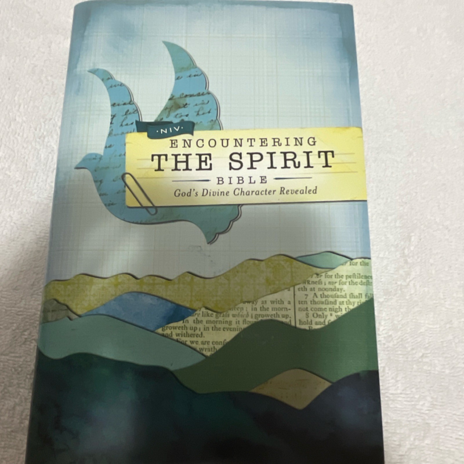 Zondervan NIV Encountering the Spirit Bible God's Divine Character Revealed ISB…