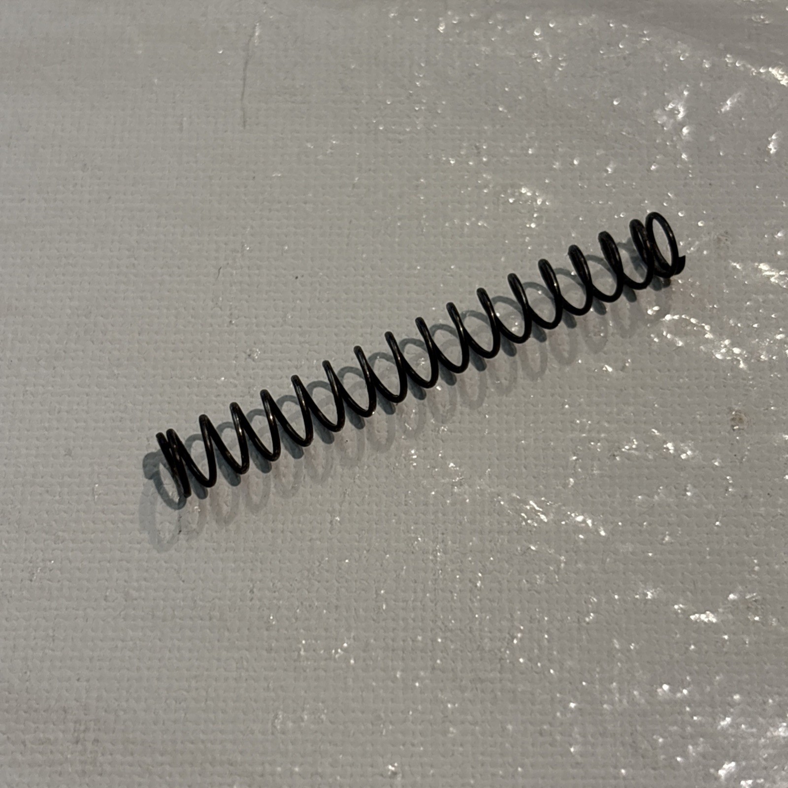Raven Arms MP-25, .25 cal. OEM Firing Pin Springs