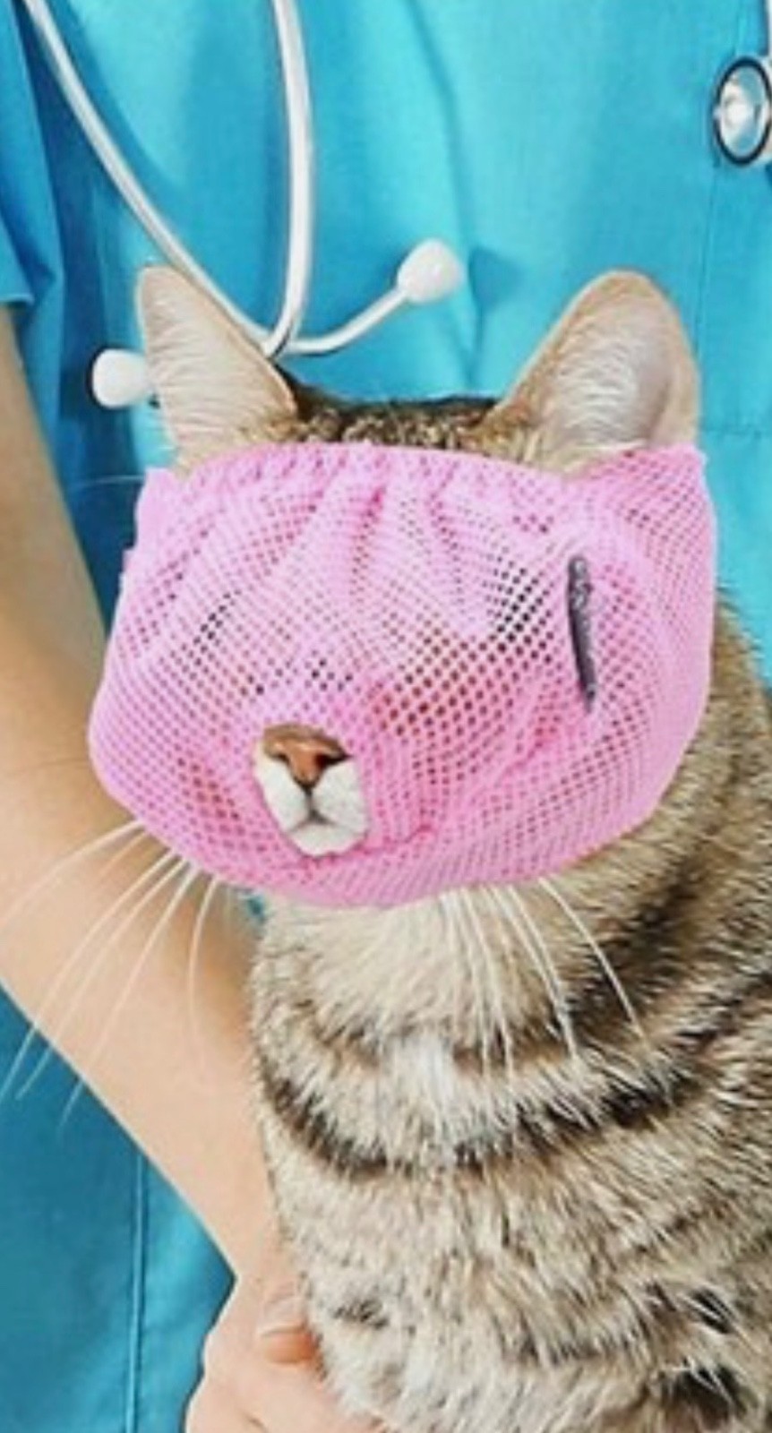 Cat Muzzle Breathable Mesh Grooming Restraint Face Mask Trim Nail Bath Small New