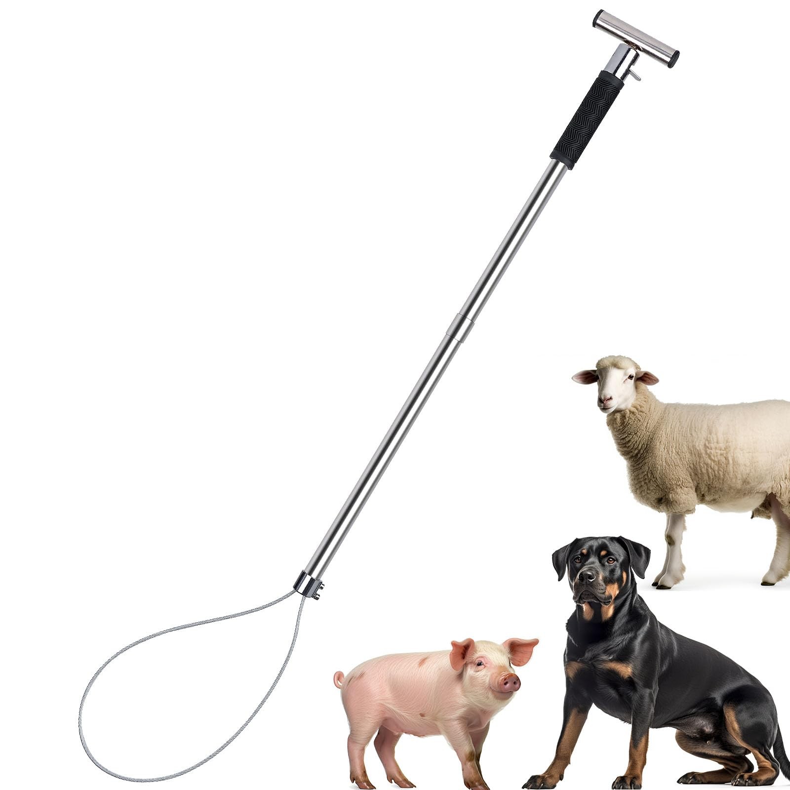 ZHEQOGZH Dog Catcher Pole Animal Control Pole Stainless Steel Pig Holder Catcher