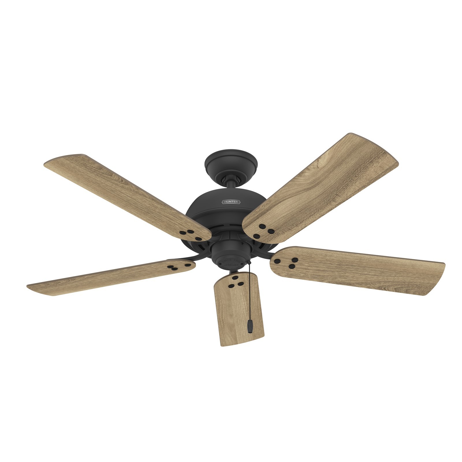 Hunter Fan 52 inch Matte Black Indoor Ceiling Fan with Light and Pull Chain