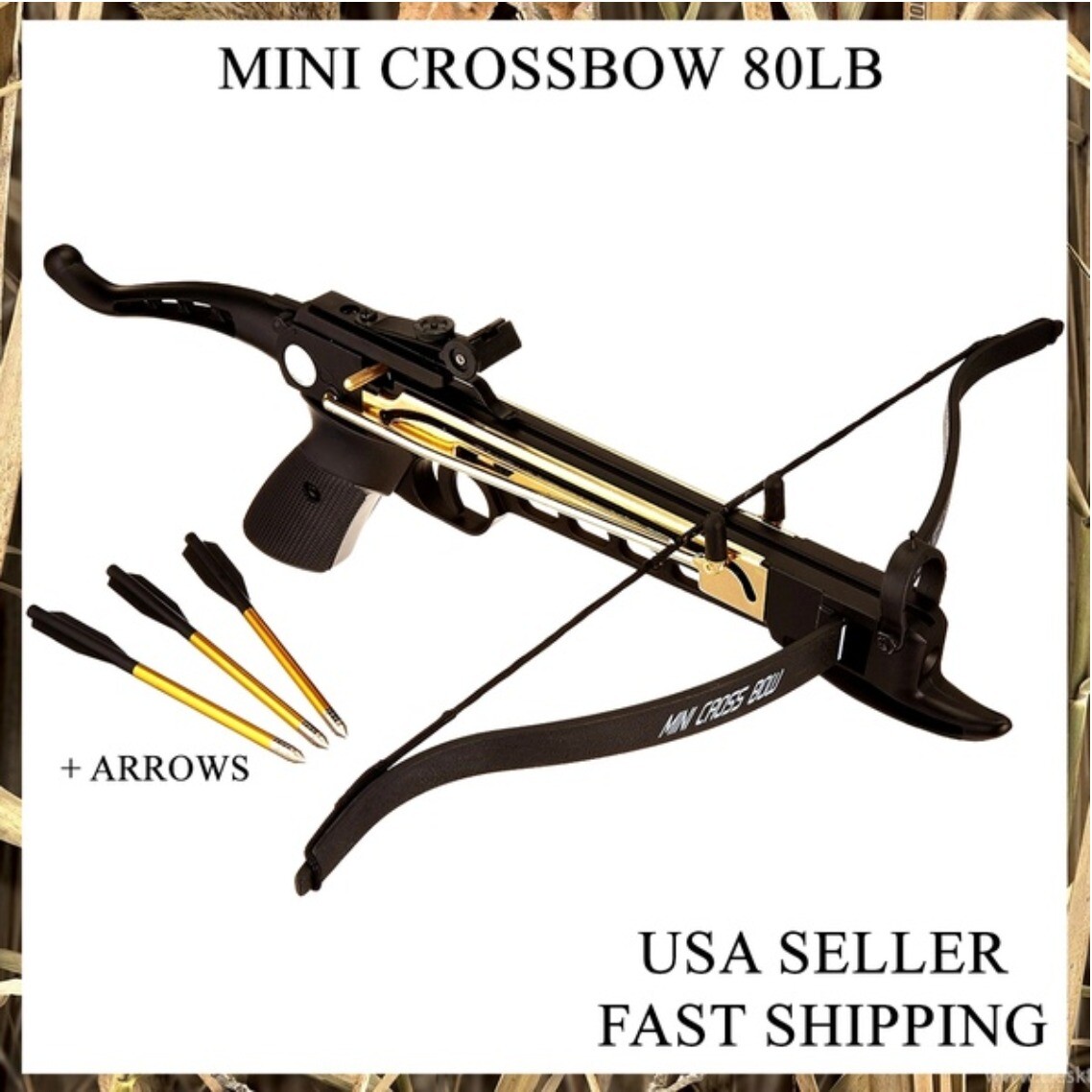 NEW 80 LB ARCHERY HUNTING Gun SELF COCKING PISTOL CROSSBOW W/ ARROWS BOLTS XBOW