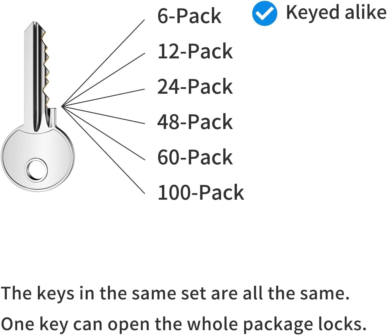 Padlocks with Same Key 6 Pcs Laminated Keyed Padlock 40mm Keyed Alike Set