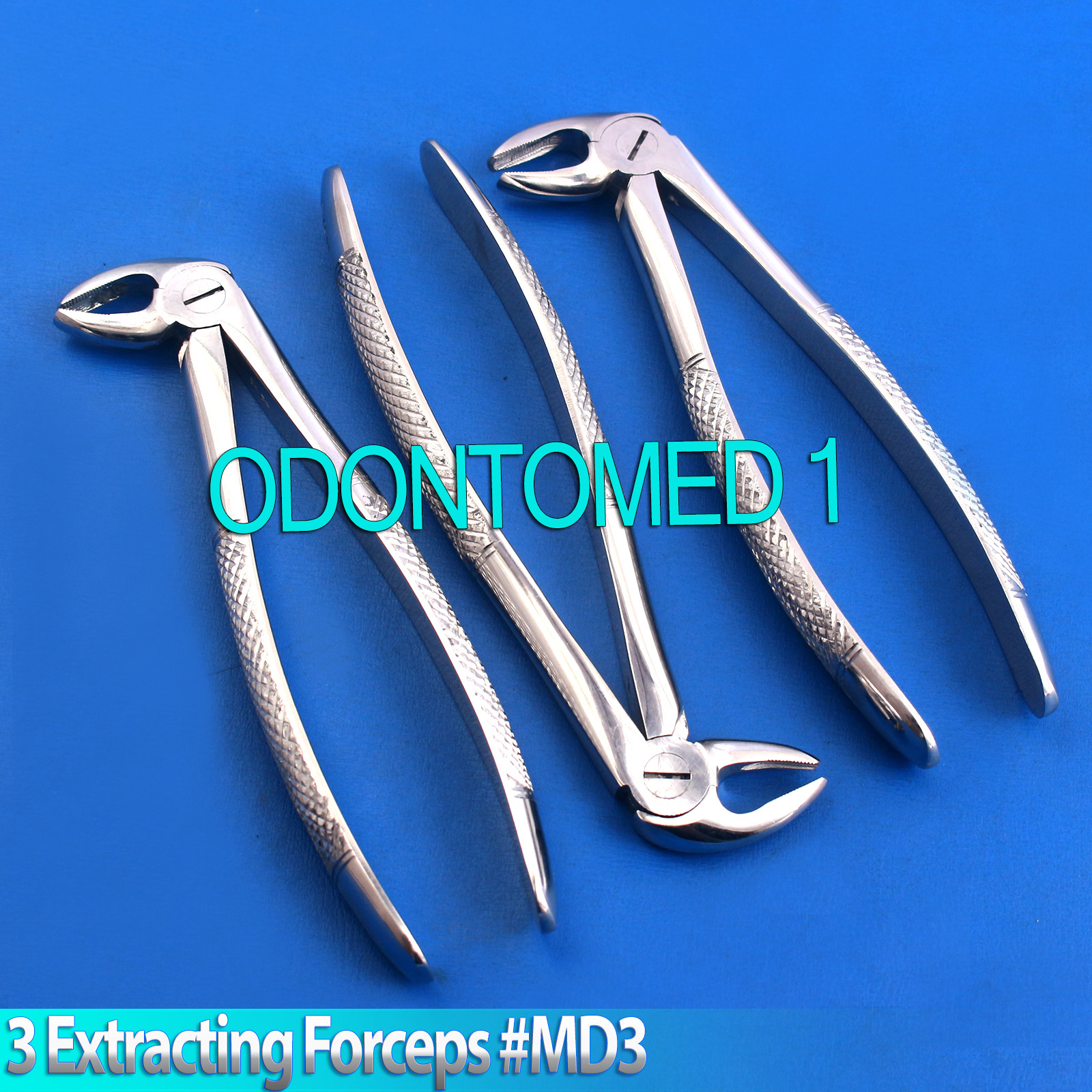 3 Extracting Forceps # MD3 Surgical Dental Instruments