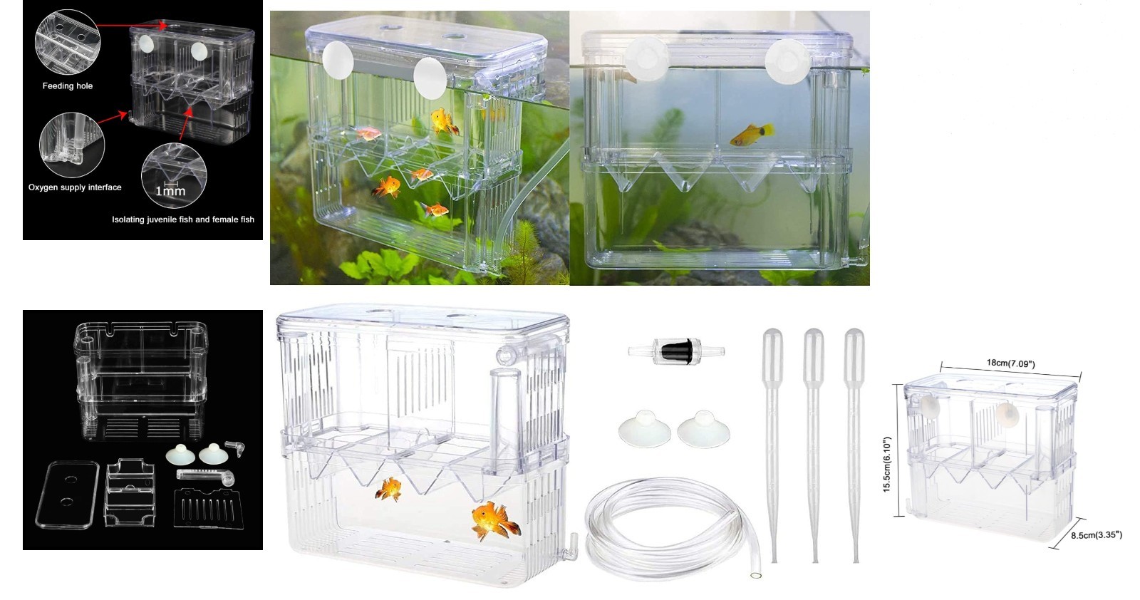 Aesthetic Plastic Fish Breeder Box - Prevent Fish Aggression & Enhance Survival
