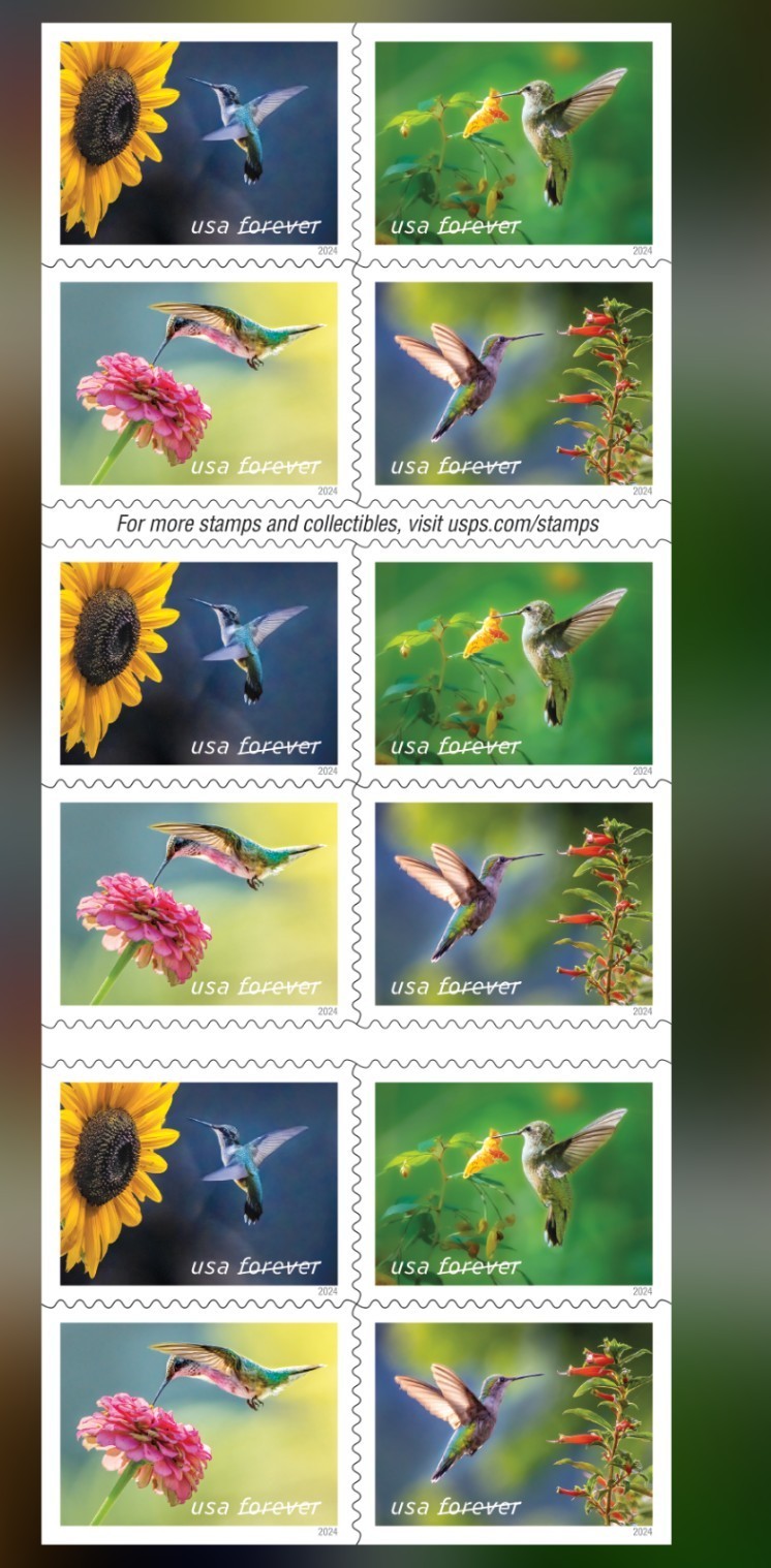1 Book=20 First Class Forever USPS Garden Delights Stamps -Ships from Jax, FL