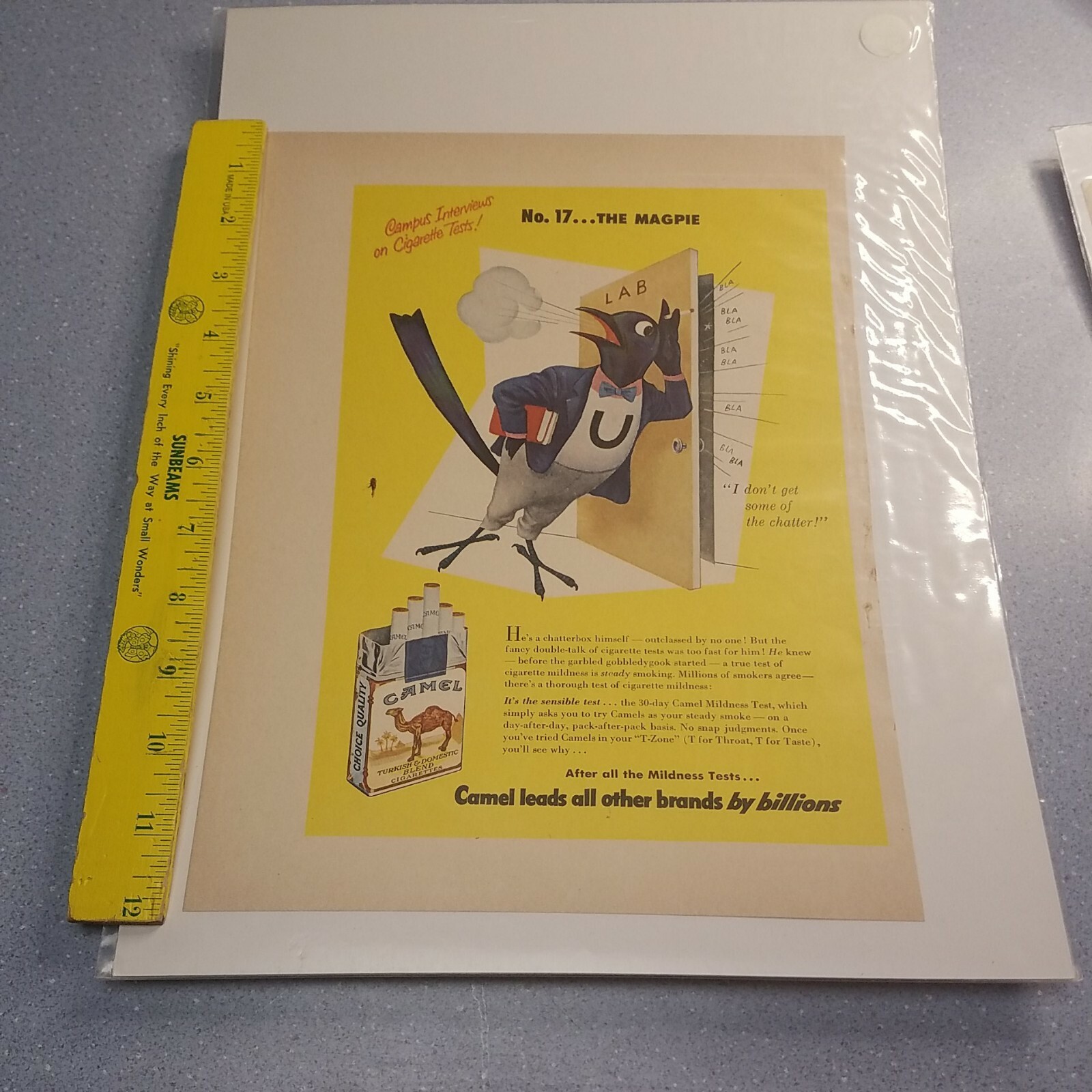 CAMEL CIGARETTES VINTAGE AD 1950's CAMPUS INTERVIEW ON CIGARETTE TESTS NO 17