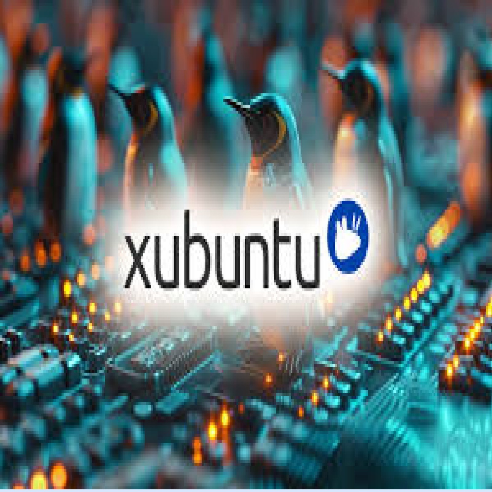 XUBUNTU DESKTOP 2025 Linux OS 64-Bit  Live Install Bootable Software