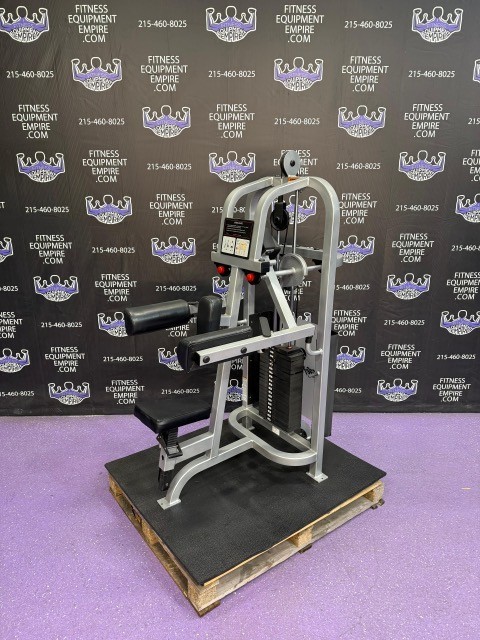Life Fitness Platinum Pro Lateral Raise - BUYER PAYS SHIPPING
