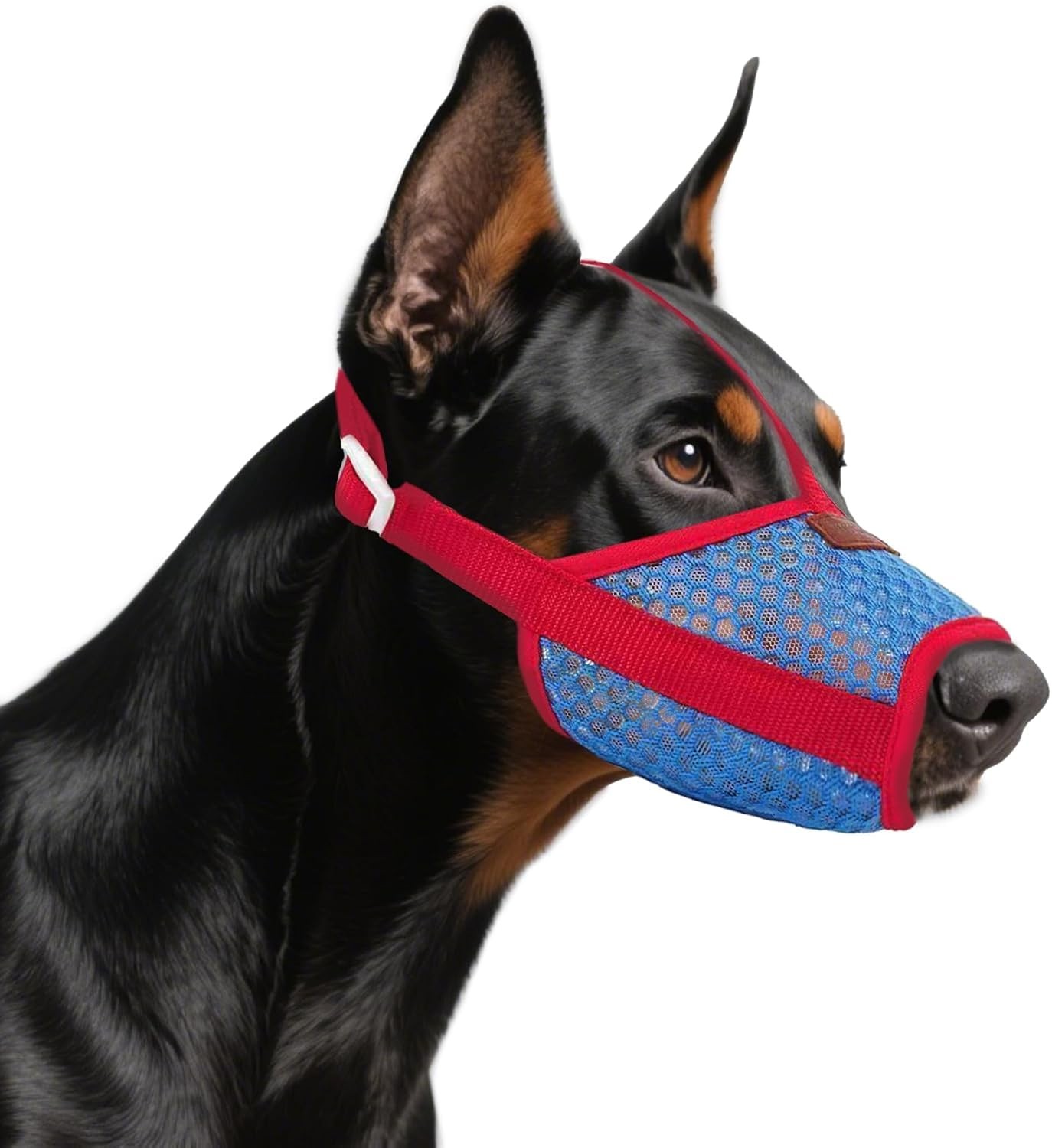 Basket Muzzle for Dogs, Prevents Biting Chewing Barking, Soft Small, Red-Blue
