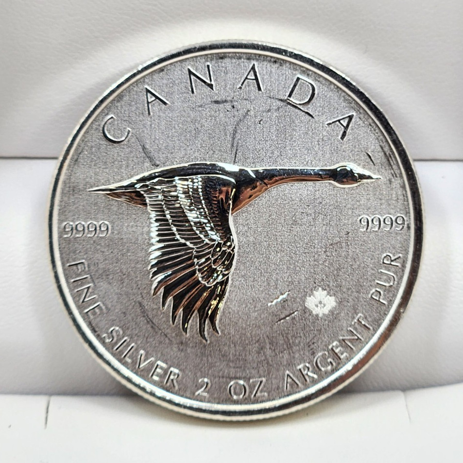 2oz Silver Coin Royal Canadian Mint Canada Goose $10 CAD Elizabeth II 2020