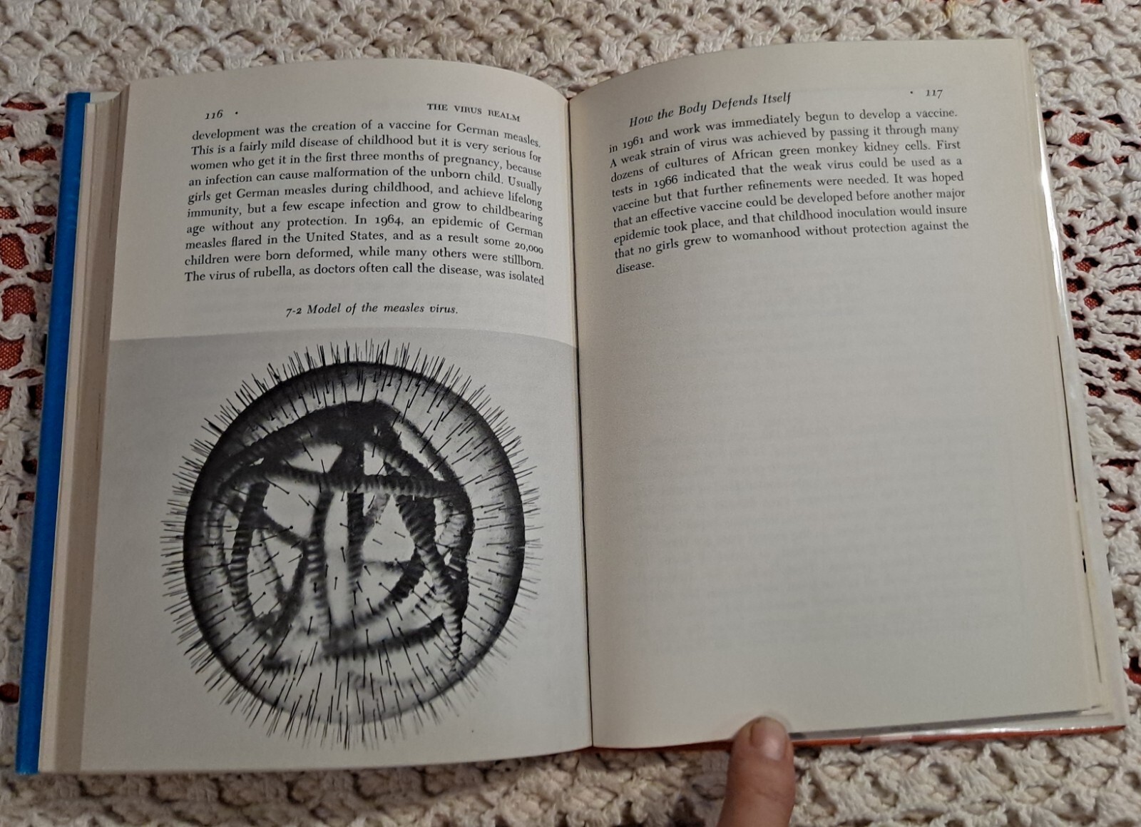 Introducing Modern Science Ser: The Virus Realm by P. Thompson,1968(1st Edition)