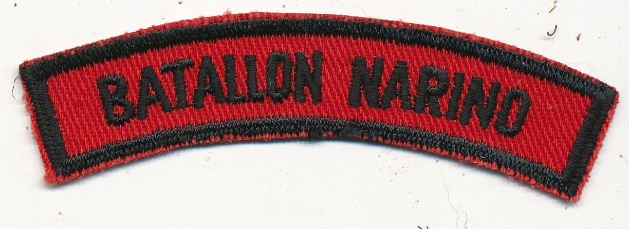 Batallon Narino patch Colombian Army 1960s 1970s Colombia