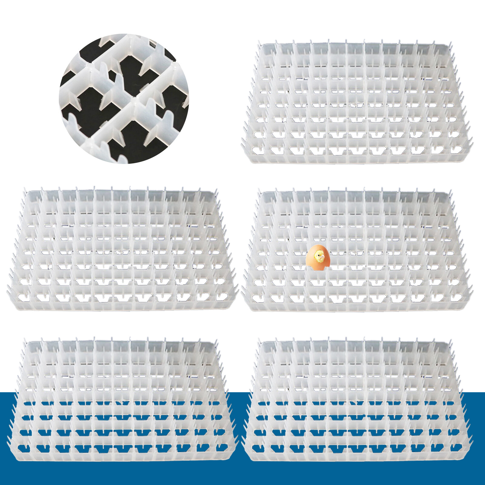 5pcs Egg Trays For Eggs Incubator Capacity 88(Small (Quail/Bird)) Fast Shipping