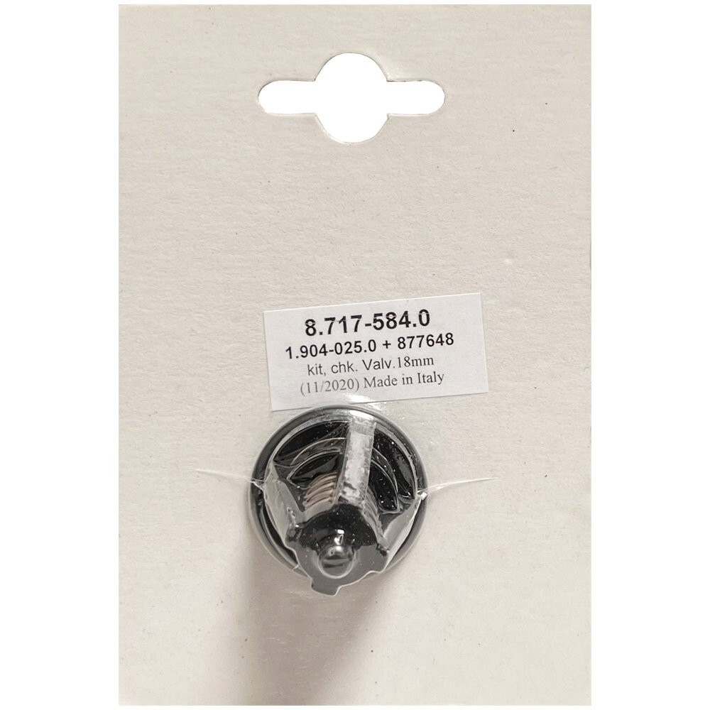 Hotsy 8.717-584.0 18MM Check Valve Repair Kit For H300, H300A, H300R, H400,H400A